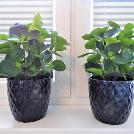 Centrum * Svinoústí