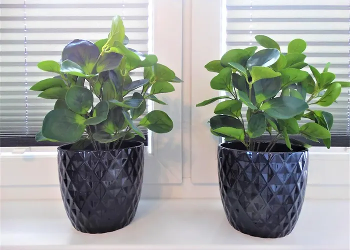 Centrum * Świnoujście